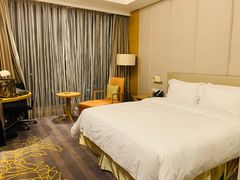 -南阳建业森林半岛假日酒店