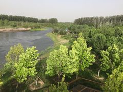 -东郊湿地公园
