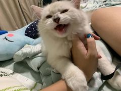 -宠颐生嘉德动物医院