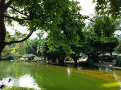 -香港皇家太平洋酒店