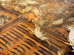 -冀粤香海鲜自助餐厅(西美五洲店)