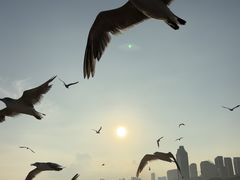 -星海广场