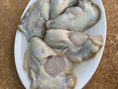 -濠轩阁特色生蚝火锅总店