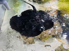 -嘉兴海底世界