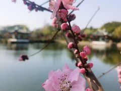 -无锡蠡湖国家湿地公园-蠡园