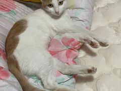 -永平路(地铁站)