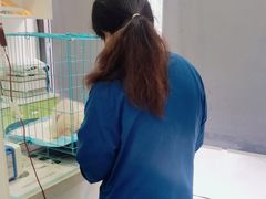 -佳怡动物医院·平价24小时·猫专科骨外科