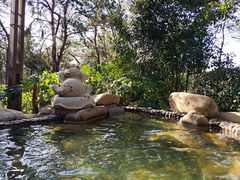 -天目湖涵田半山温泉