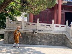 -天龙宝严素食馆(大兴善寺店)