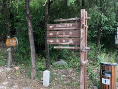 -阳台山自然风景区