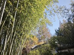 -汇龙潭