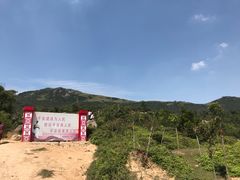 -大姆山草场
