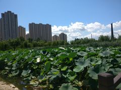 -前关湿地公园
