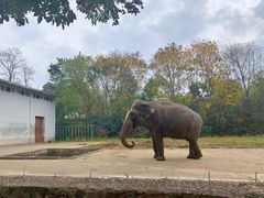 -合肥野生动物园