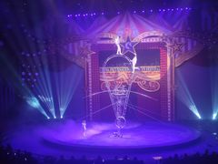 -珠海横琴长隆《卡卡虎奇遇记》