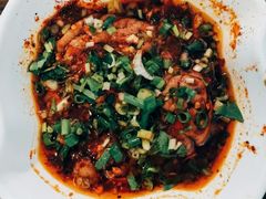 -南街杨记·麻辣烫