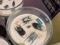 -陕西自然博物馆