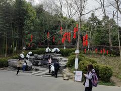 -都江堰中华大熊猫苑