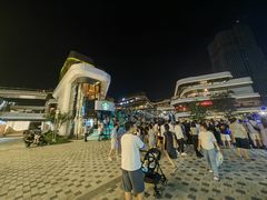 -凤凰湘语(浦东旗舰店)