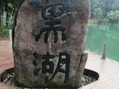 -缙云山景区