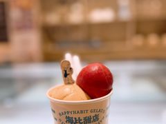 -海比甜店·意式手工冰激淋happy habit gelato