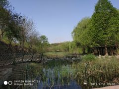 -石家庄市动物园