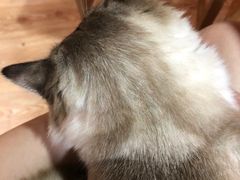 -白兔子密室(长寿路店)