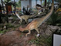 -湖南省地质博物馆