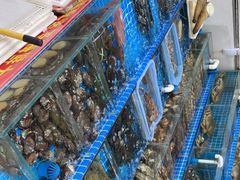 -江杨农产品批发市场