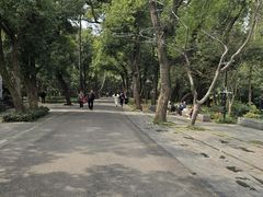 -东湖落雁景区