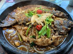 长江鮰鱼-老板恋上鱼(恒隆广场店)