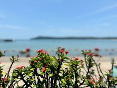 -花乐餐厅(涠洲岛店)