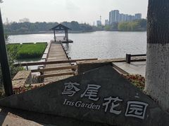-圩墩遗址公园