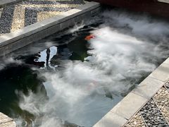 -西安市广仁寺