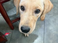 -盐府老街兔(三八路店)