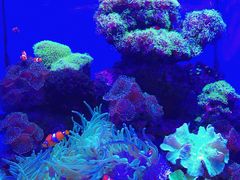 -多彩贵州城极地海洋世界