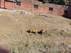 -无锡动物园·太湖欢乐园