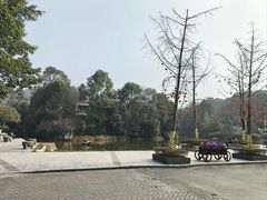 -知美术馆
