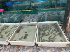 -拉威海鲜市场