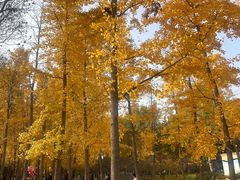 -石家庄市植物园