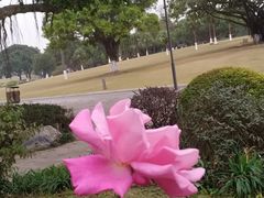 -东莞植物园
