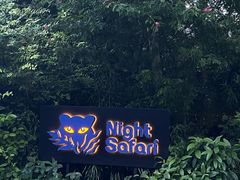 -夜间野生动物园