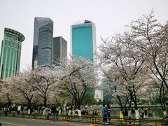 -西北湖绿化广场