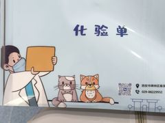 -特一安24小时宠物医院·骨科·中兽医