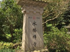 茶树菇老鸭-老娘舅(苏州双湖广场店)