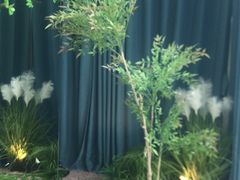 -映像威海·威海宴(威高广场店)