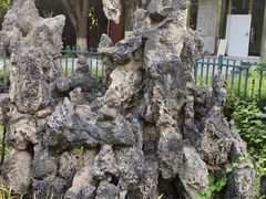 -洋湖国家湿地公园