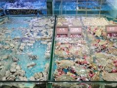 -徐记海鲜(阿波罗店)