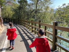 -广州市流溪河国家森林公园