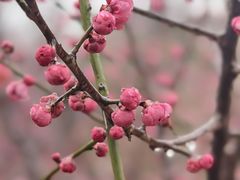 -白塘生态植物园